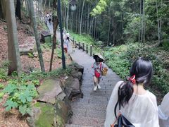 -灵顺寺