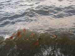 -西湖天地