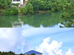 -广东惠东海龟国家级自然保护区