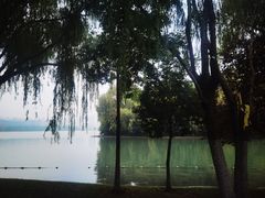 -天鹅湖体育公园