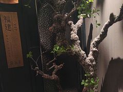 -苏淮景·苏闽融创菜·海鲜(原空港井河轩店)