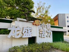 -龙盛活力小镇