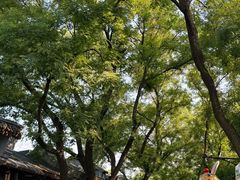 -南锣鼓巷