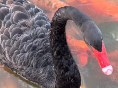 -春晖园度假酒店温泉