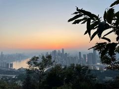 -南山植物园