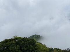 -梧桐山风景名胜区