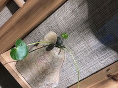 -八珍手工水饺·妈妈的爱(传芳巷店)