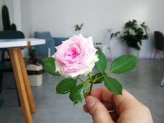 -边渡咖啡烘焙店(昙华林店)