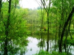 -西湖风景区-江洋畈生态公园