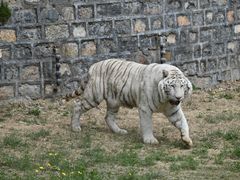 -济南野生动物世界