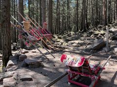-芦芽山旅游度假区