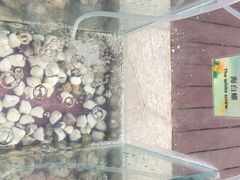 iphone_upload_pic-三亚海韵度假酒店·渔人码头海鲜火锅BBQ自助餐厅·落日吧