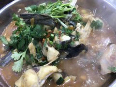 -全乐鱼馆·淳牌有机鱼直营店