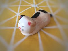 -猫咪博物馆(顶澳仔猫街店)