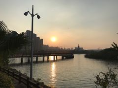-五缘湾湿地公园