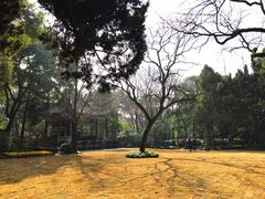 -汇龙潭