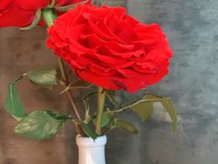 -新贝乐意大利餐厅(苏州中心店)