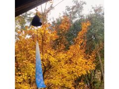 -七彩云南古滇温泉山庄