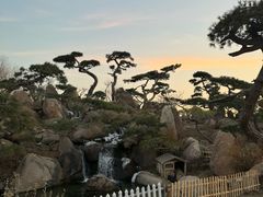 -罗红摄影艺术馆