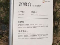 -太阳宫公园
