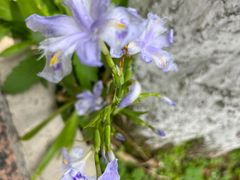 -观山湖公园