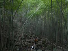 -莫干山风景区