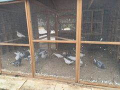 -青岛鑫江温德姆酒店