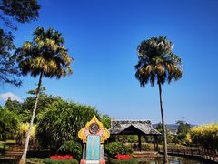 -中国科学院西双版纳热带植物园