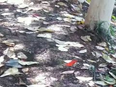 -湖南省立第一师范学校旧址