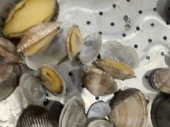 -今鲜源酒店·海鲜锅贴青岛菜(新湛路店)