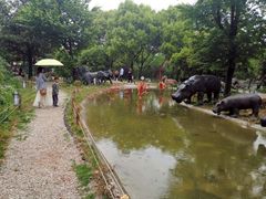 -无锡动物园·太湖欢乐园
