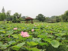 -宜兴龙背山森林公园
