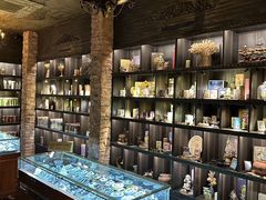 -雪灵魔法世界SHELLY’S TAROT(大良桂畔里店)