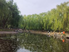 -丰台科技园生态主题公园