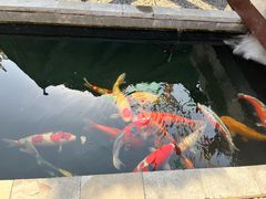 -西安市广仁寺