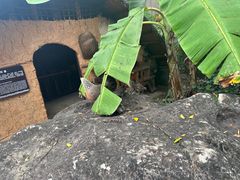 -海南槟榔谷黎苗文化旅游区