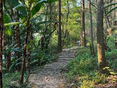 -广州市石门国家森林公园
