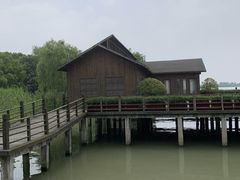 -溱湖国家湿地公园