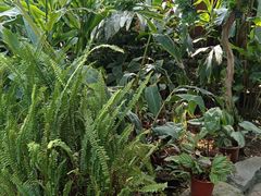 -国家植物园南园