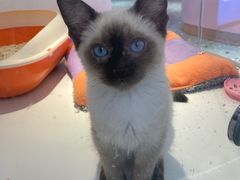 -龟与熊猫宠物公园(南坪店)