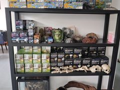 -灵龟之家百象馆(百象馆联合旗舰店)