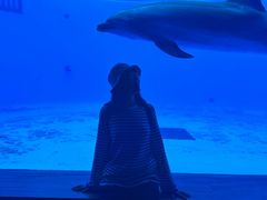 -西海国立公园九十九岛水族馆