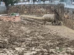 -无锡动物园·太湖欢乐园