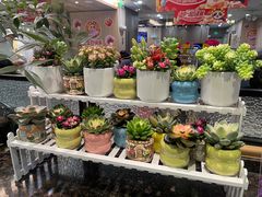 -海底捞火锅(万科广场店)