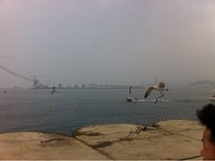iphone_upload_pic-华府海鲜碳烤自助(万达店)