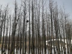 -艾溪湖湿地公园
