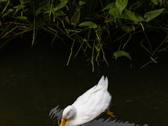 -三里河公园