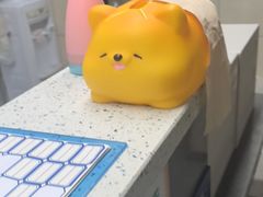 -半岛宠物医院24小时(白果林店)