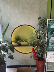 -北京豆豆博士专业祛痘