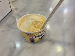 -哈根达斯(青岛海信店)